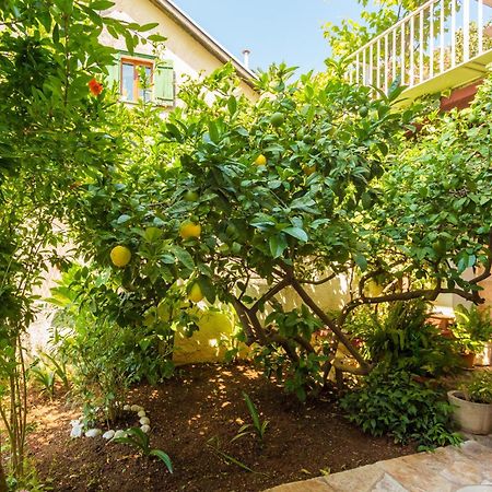 Apartments Afrodita Dubrovnik Ngoại thất bức ảnh