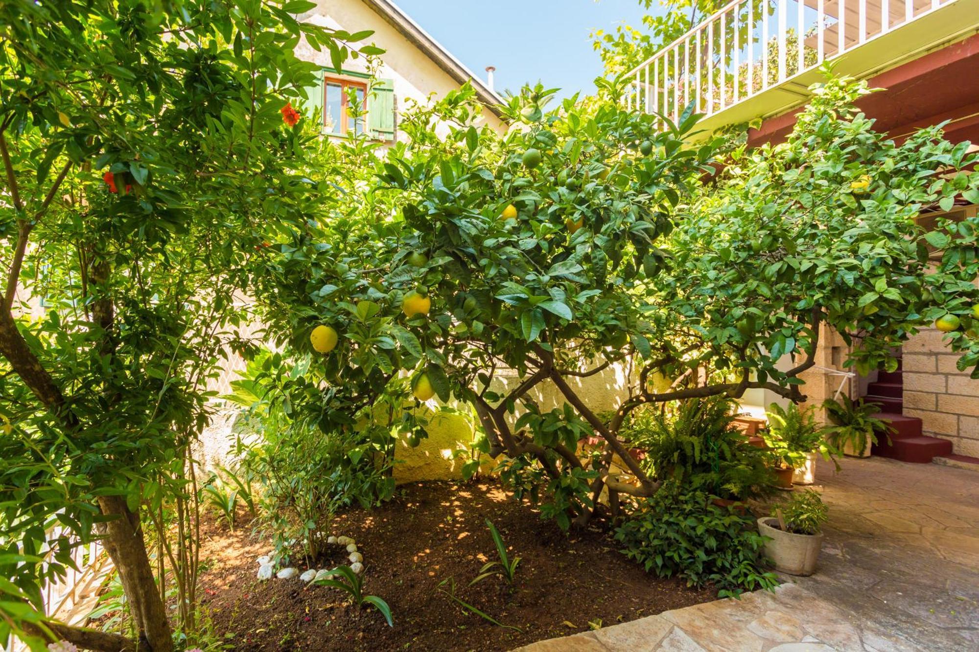 Apartments Afrodita Dubrovnik Ngoại thất bức ảnh