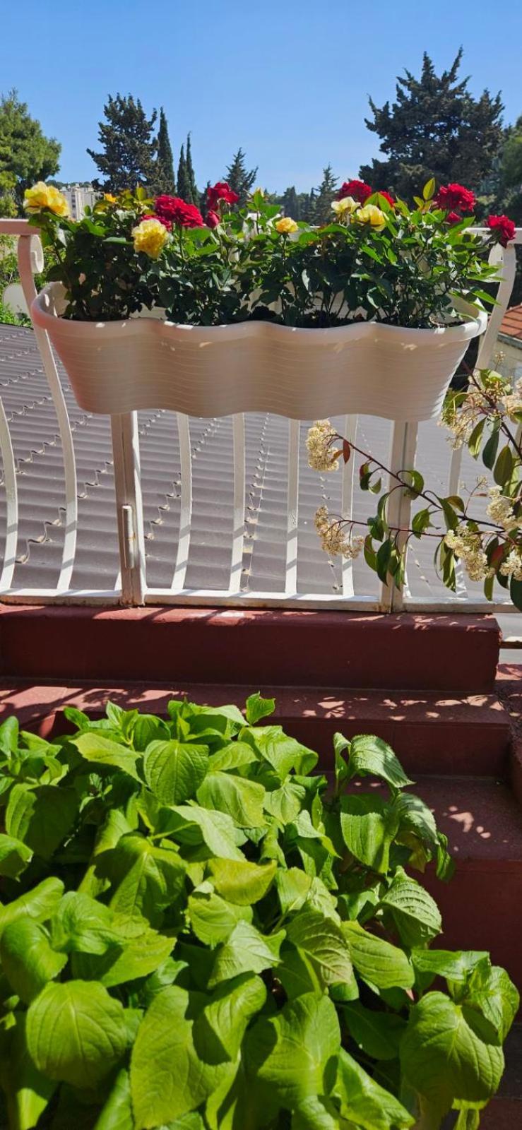 Apartments Afrodita Dubrovnik Ngoại thất bức ảnh