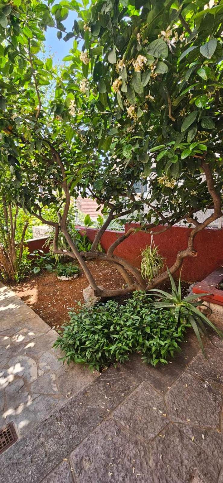Apartments Afrodita Dubrovnik Ngoại thất bức ảnh